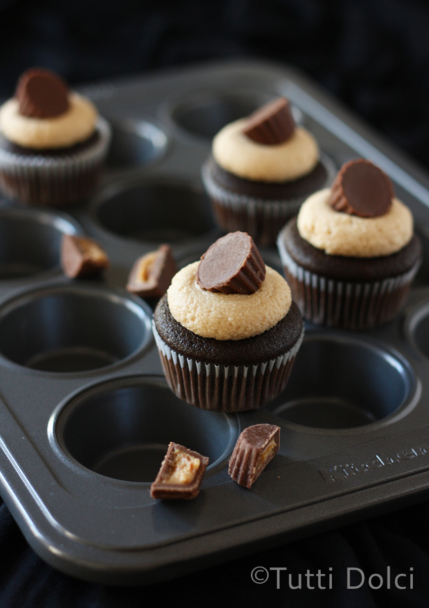 Mini Chocolate & Peanut Butter Cupcakes
