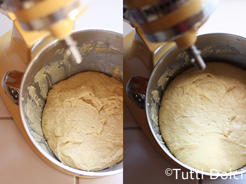 Left: Mixed Dough, Right: Dough after rise