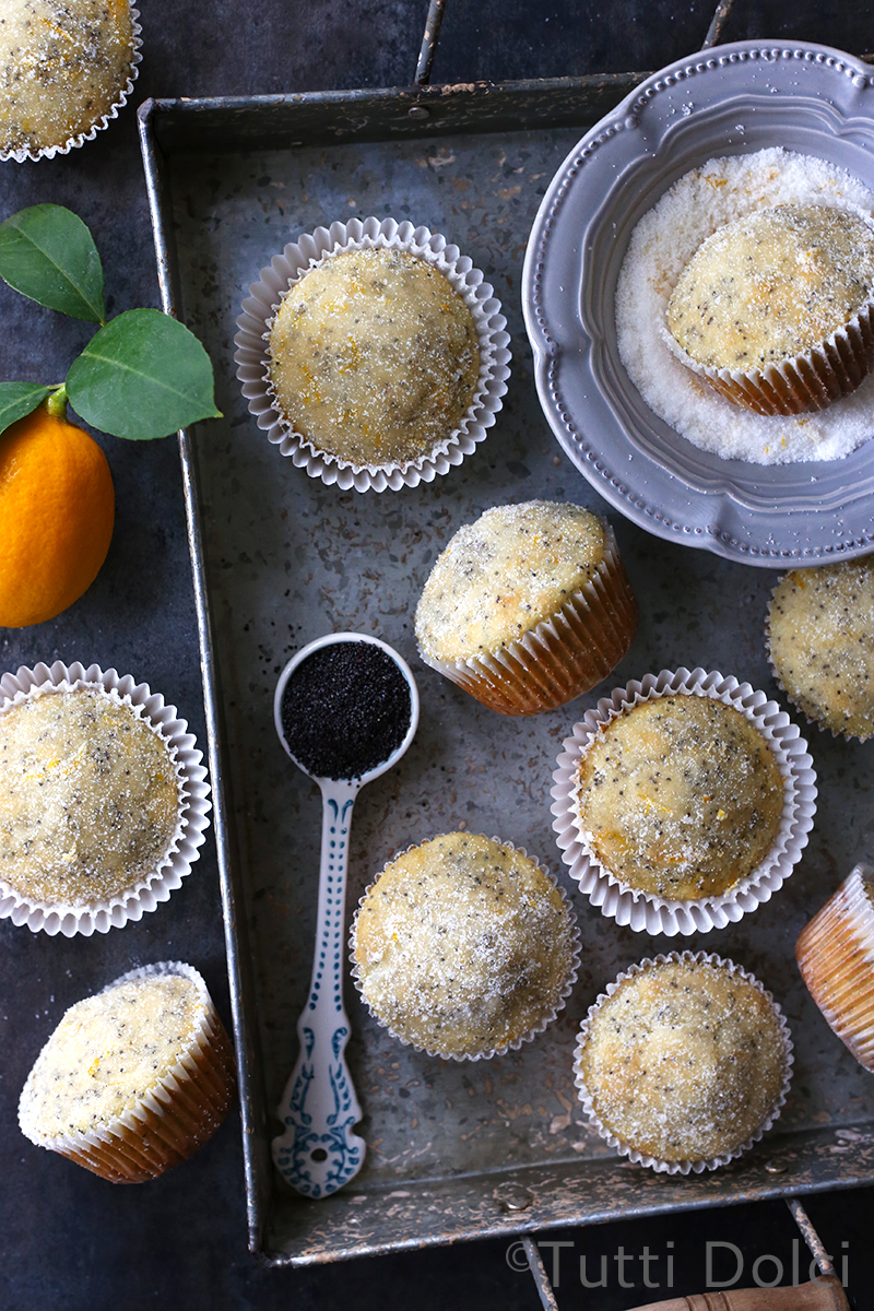 Meyer Lemon Poppy Seed Muffins | Tutti Dolci