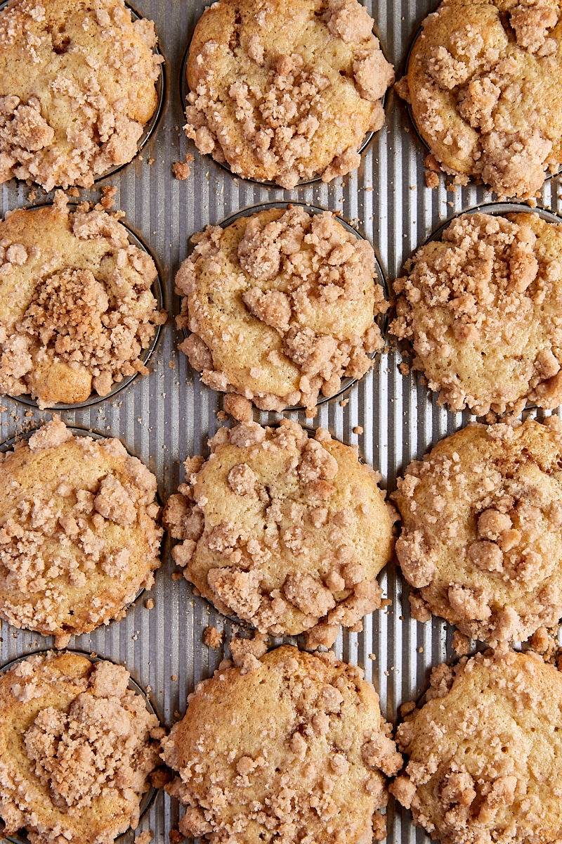Baked sour cream coffee cake muffins in muffin tin