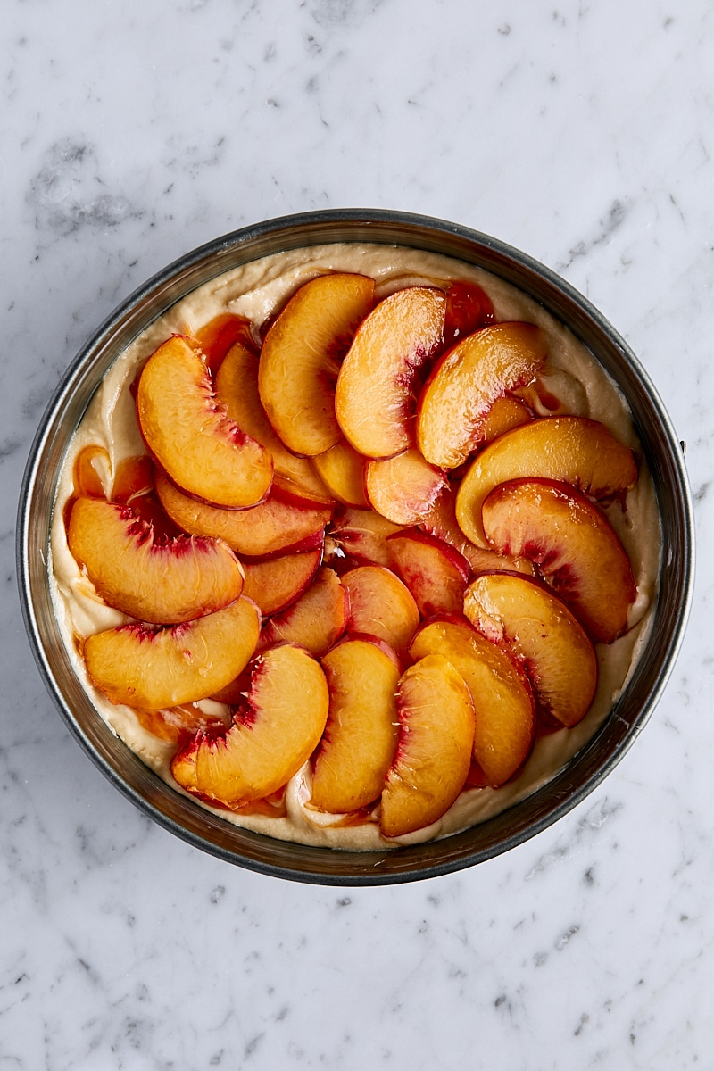 Cake batter topped with sliced peaches in springform pan