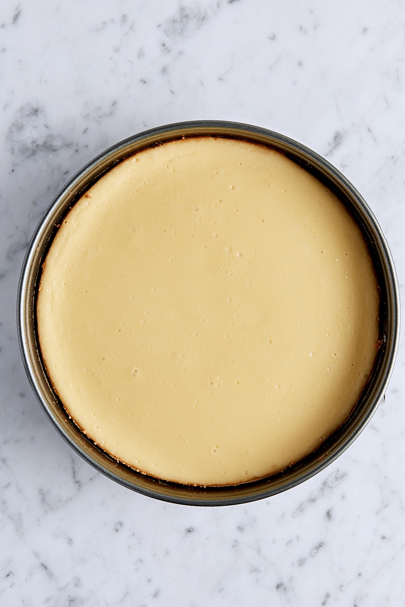 Baked vanilla cheesecake in springform pan