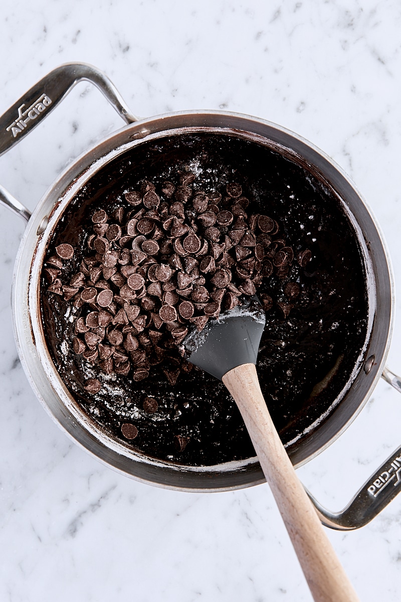 Chocolate chips added to cocoa brownie batter